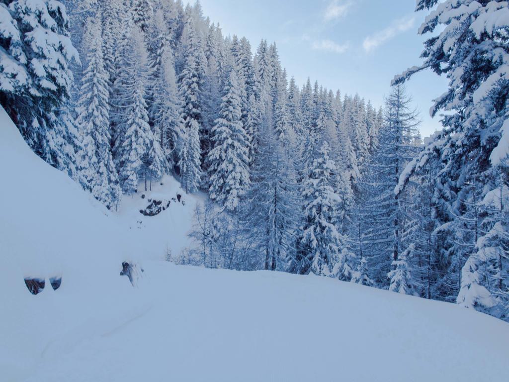 Chalet Skilift Rosswald Esterno foto